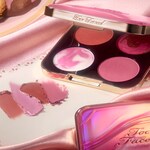 Daydreams Face Palette Holiday 2026, NET WT. 0.38 OZ. / 11.0 g